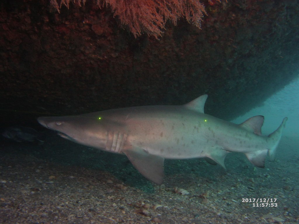 3461f6d4-0c6c-4898-8c87-3dd68632c0dd