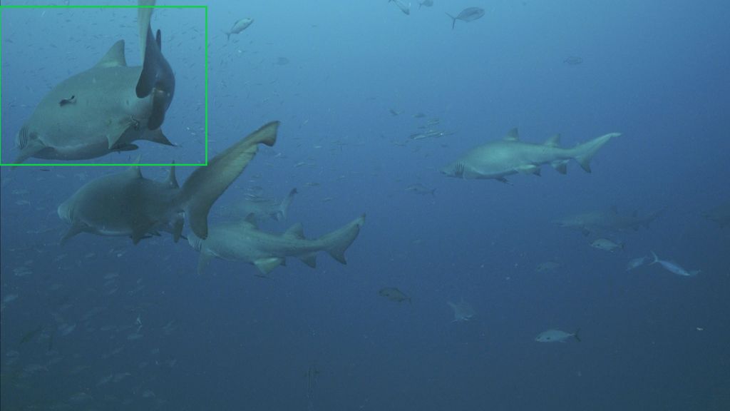 e2438785-b4fb-4f5a-ae02-9063da873bed