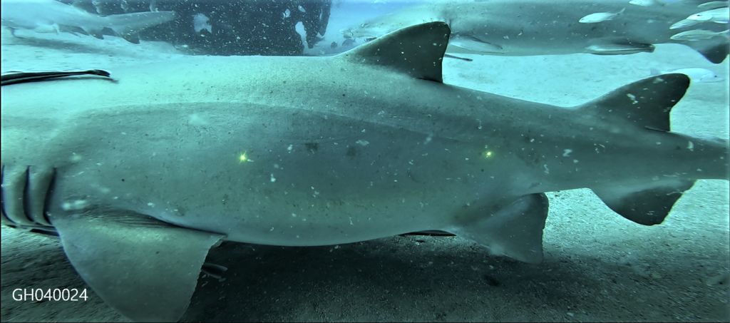 19b41617-43ea-430d-b86f-a2a4149514a6