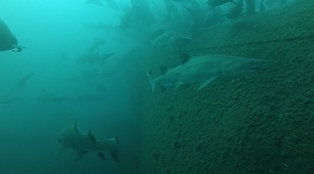 4bb6a57a-244e-4bce-8356-662dfa4d2527