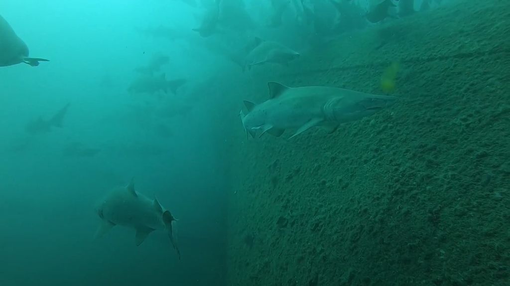 4bb6a57a-244e-4bce-8356-662dfa4d2527