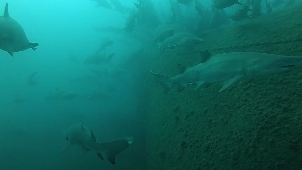 4bb6a57a-244e-4bce-8356-662dfa4d2527