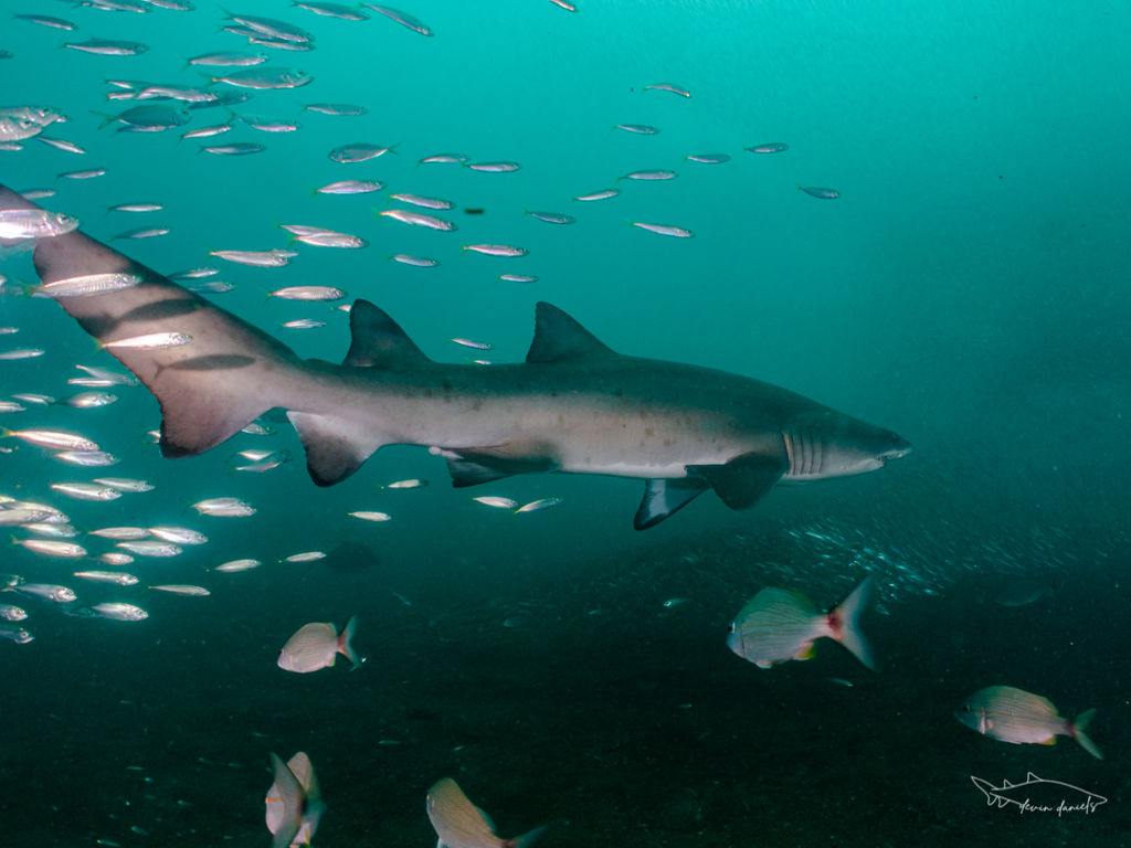 9596701a-fe85-46e7-8b37-8a5f48690779