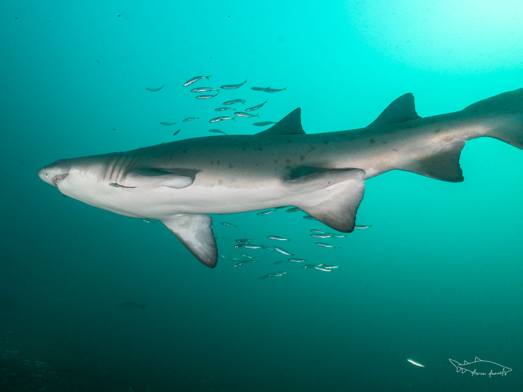 9596701a-fe85-46e7-8b37-8a5f48690779