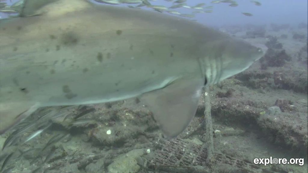 82f84ff7-8700-48bc-b923-aaf959216bf4