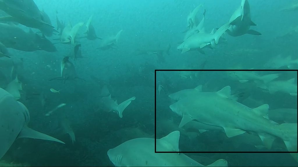 f5bfb919-6dac-4b6f-93e1-f3d66afde408