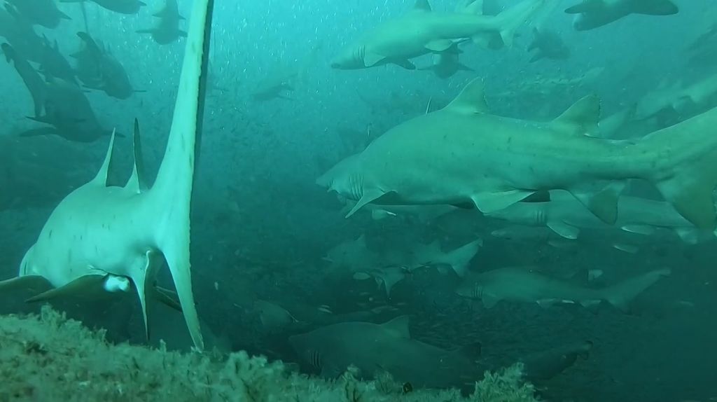 f5bfb919-6dac-4b6f-93e1-f3d66afde408