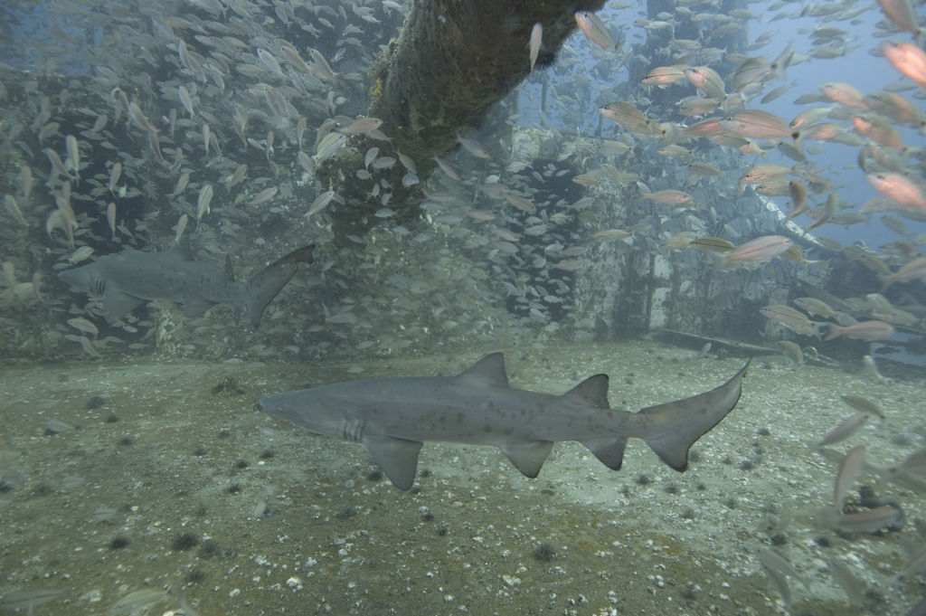 fa924399-147d-425e-af66-6dd5d0466215