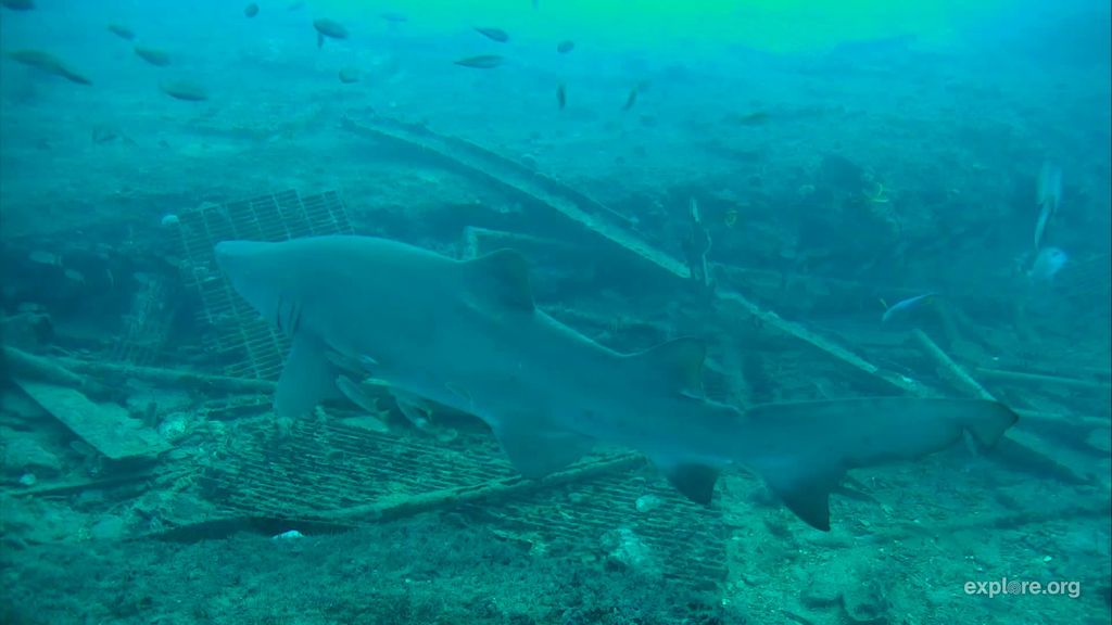 0d609dc4-158e-4bdd-8931-bdc9b10e92af