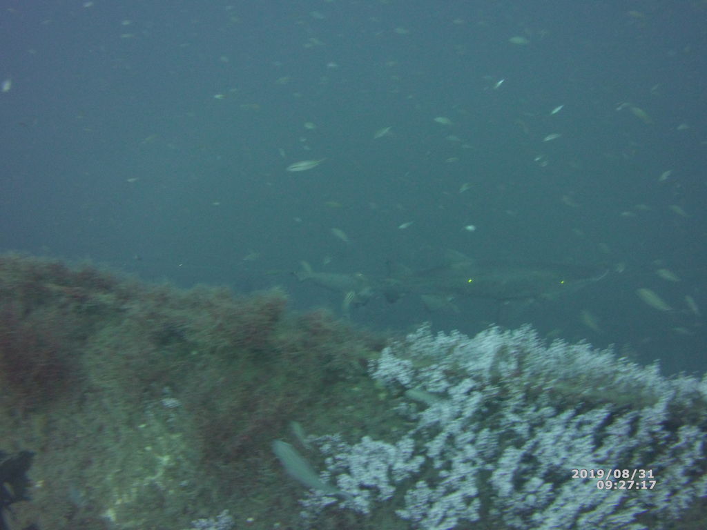 d6f27a3e-73b5-4bdb-9e80-5e419ea48251