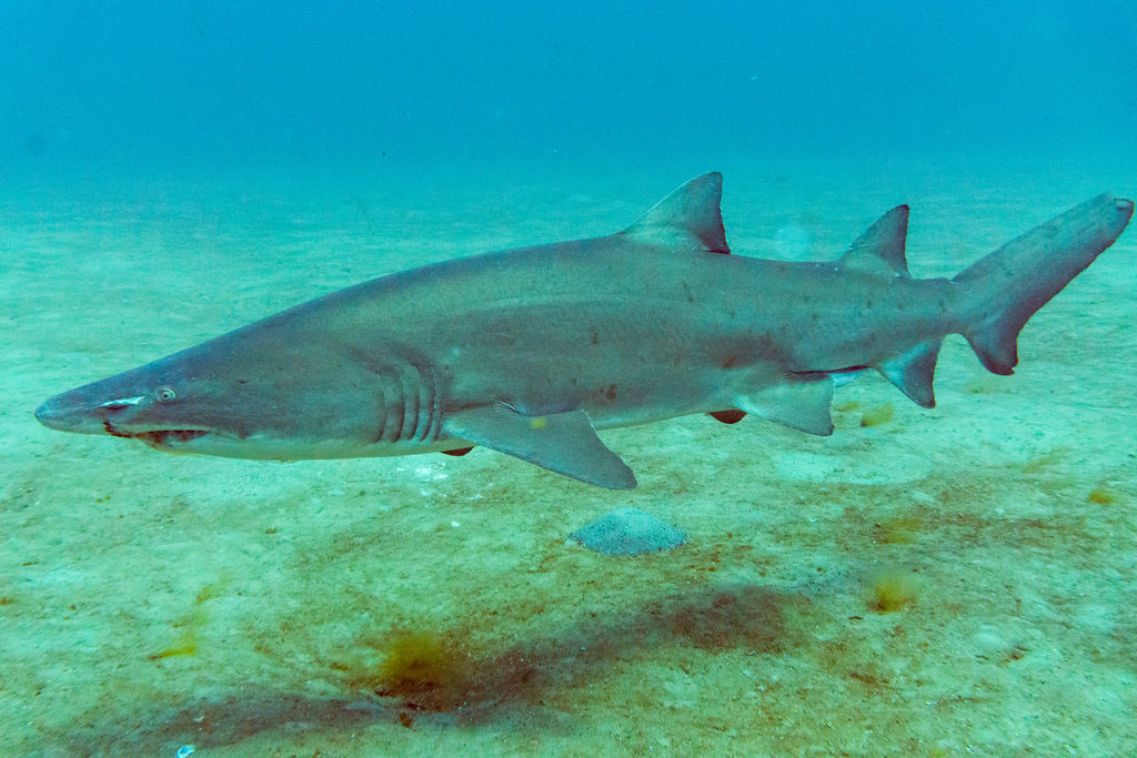 4da7ef6b-88b9-477a-8115-348ddaca1170