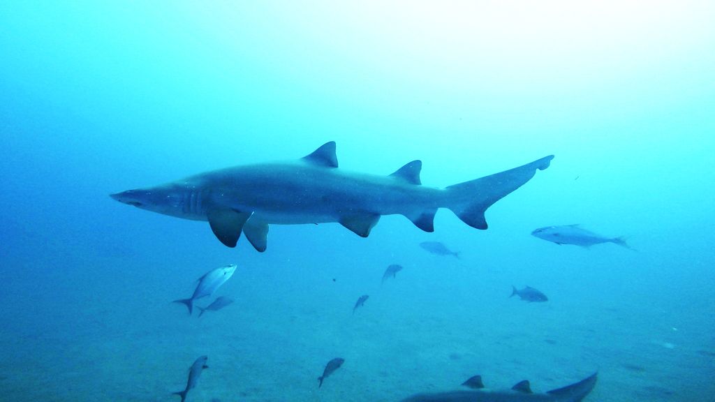 652ce8d1-7325-48dd-bc34-f603378f76a2