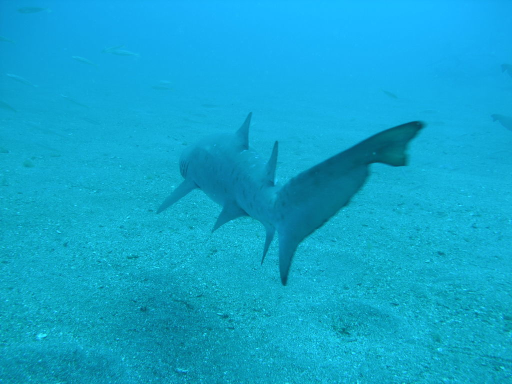 ee5c668d-b6c3-4a35-b721-8db832a7f0c7