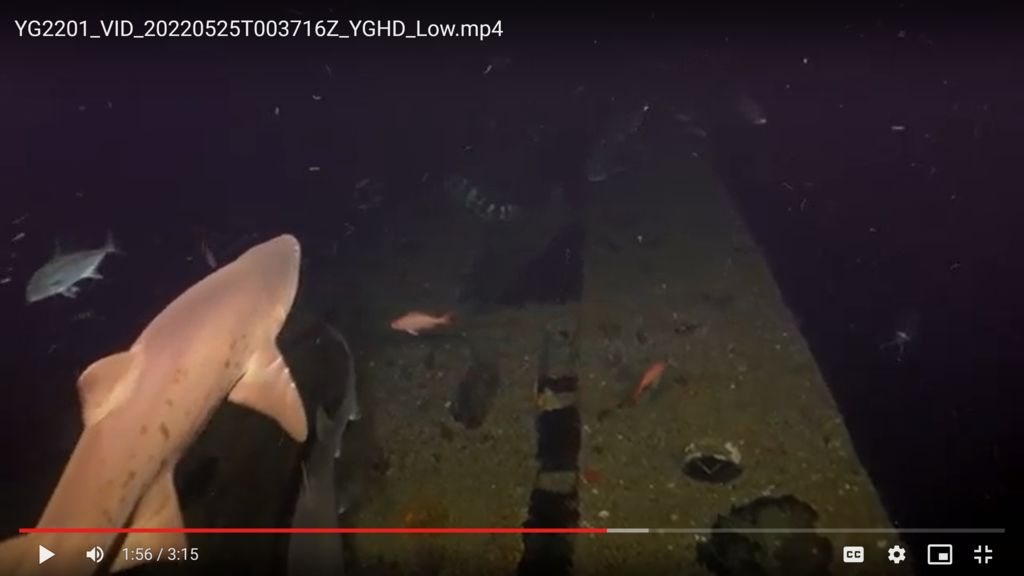 bf077f49-8aca-4f0e-bec6-80acd562f9f1