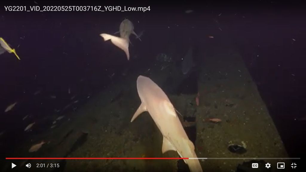 bf077f49-8aca-4f0e-bec6-80acd562f9f1