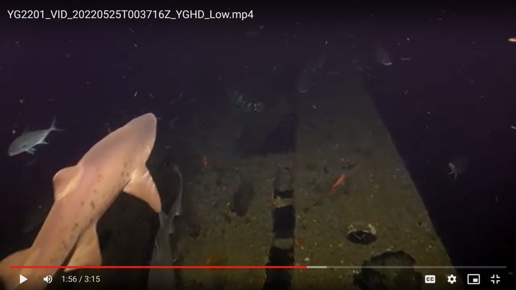 bf077f49-8aca-4f0e-bec6-80acd562f9f1