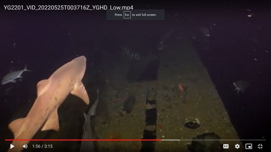 bf077f49-8aca-4f0e-bec6-80acd562f9f1