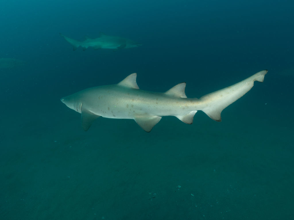 4675ec16-6983-4ef1-85a2-946527675961