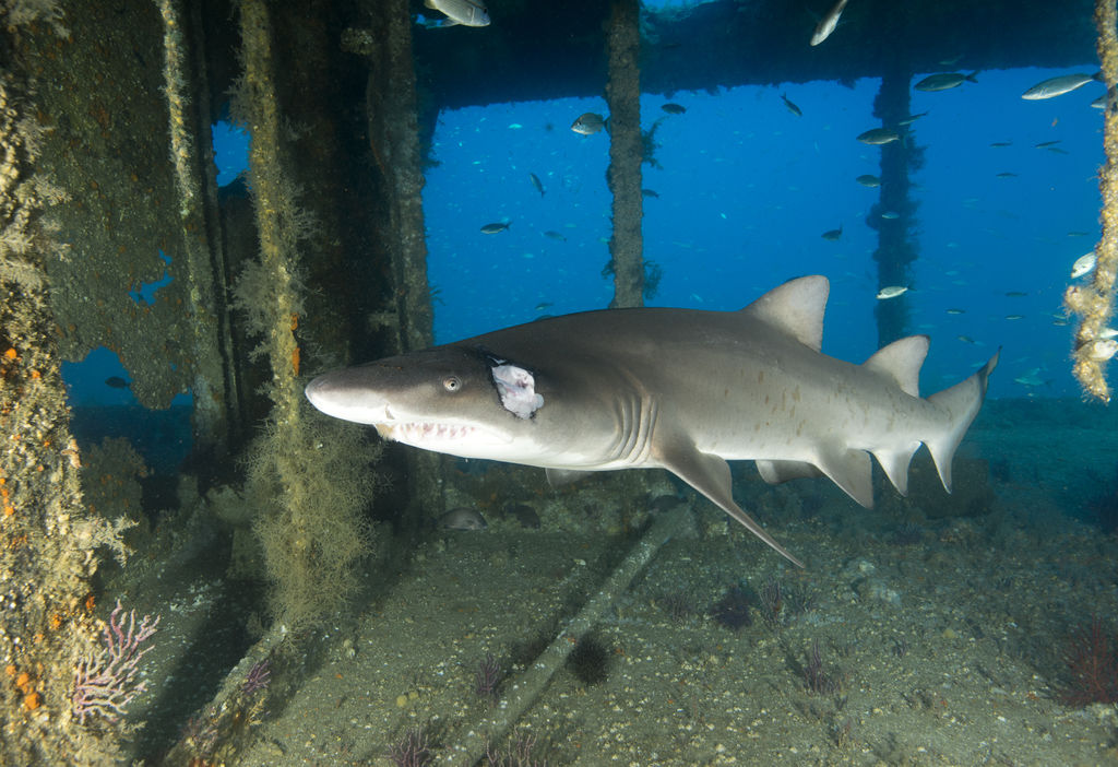 2de0f674-cfc0-4972-9ba7-97ebcbed25a0