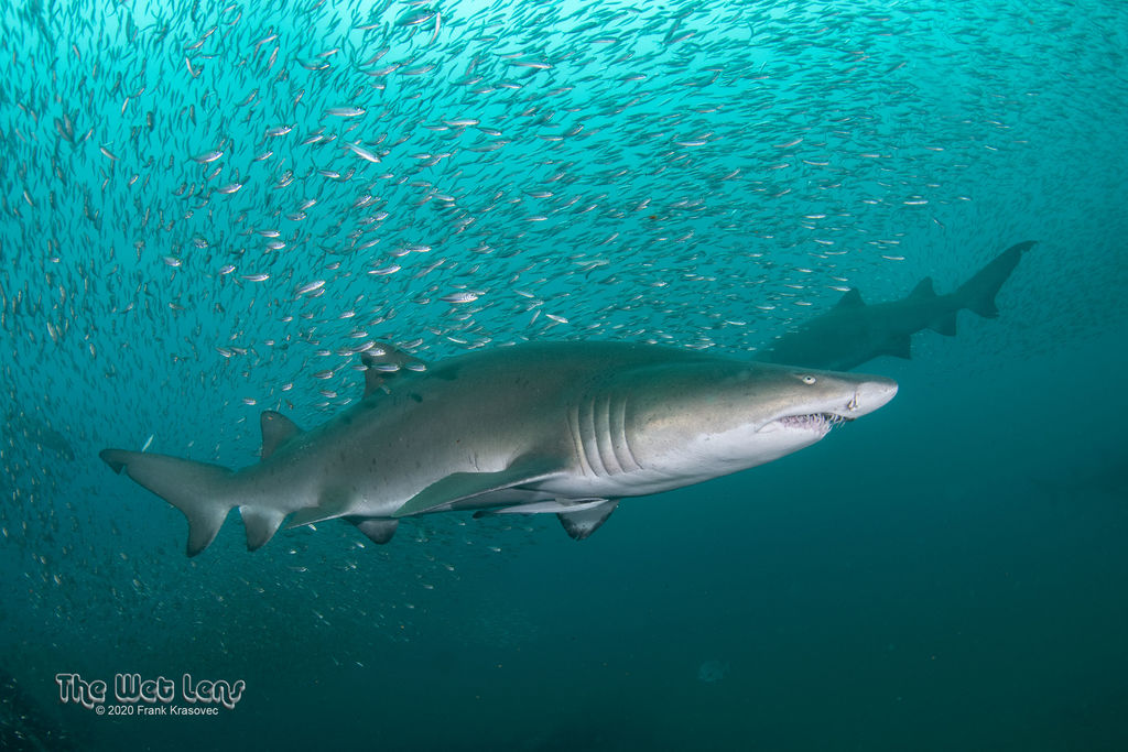 90a2cdb4-215f-4b3f-822d-c37ab1a28428