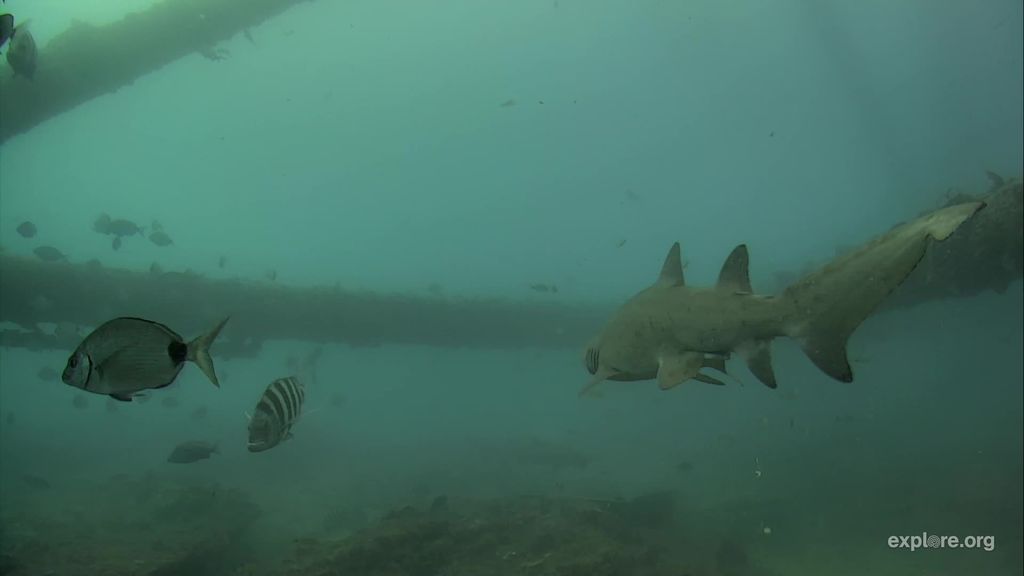 da9e6cbb-f33e-4cbf-875d-c0a15370812f