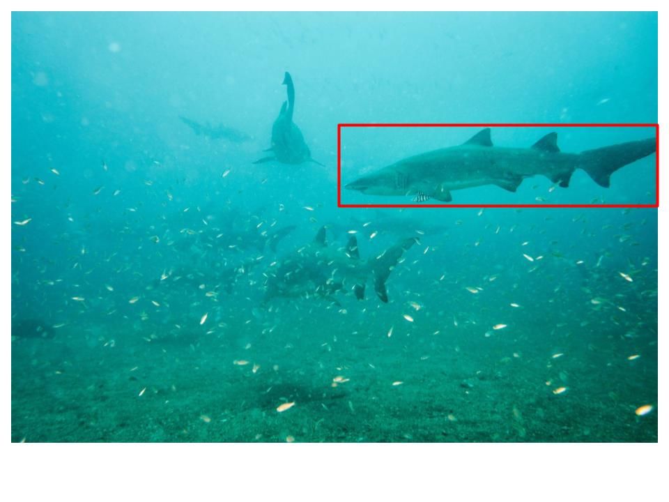 fb7ef6c9-6712-415c-bbd2-797412a05a16