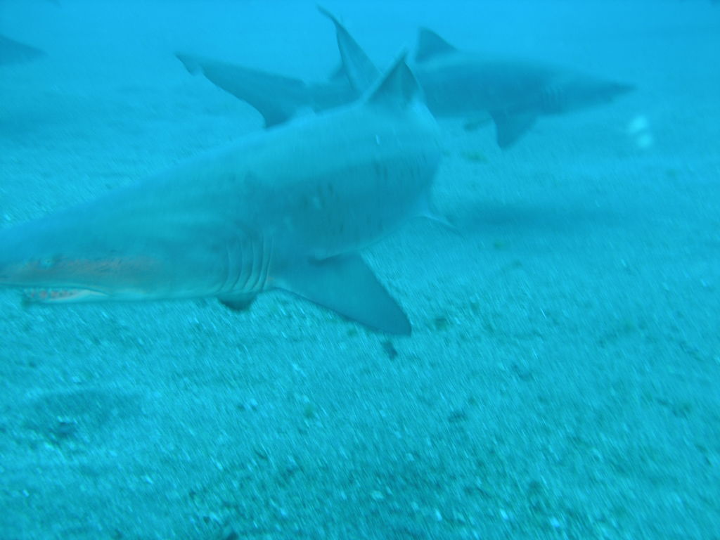 04ae6016-3f06-4a6a-bac3-cbb4ec5bf920