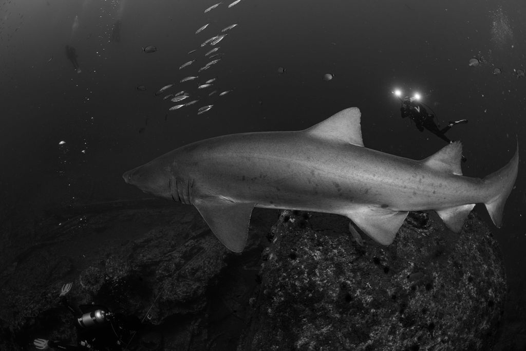 7f0c6d29-06f2-44df-bd9b-316feceb5372