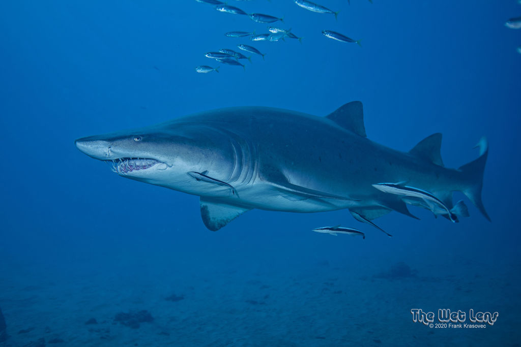 c39a8084-34a6-4293-b24e-6d9965d4fa06