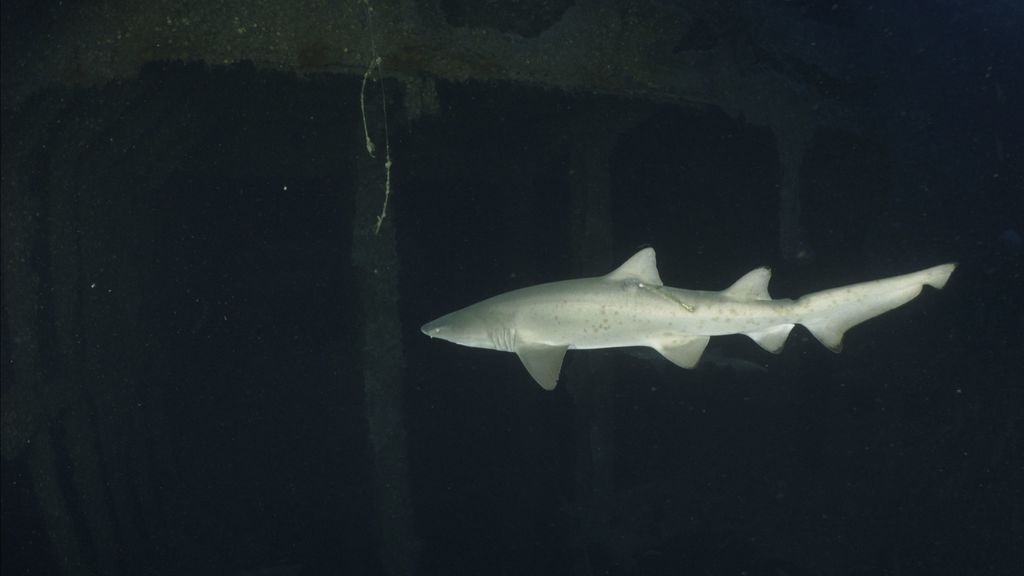 8a91e851-410c-4b6e-acc1-f4666b8d9a0b