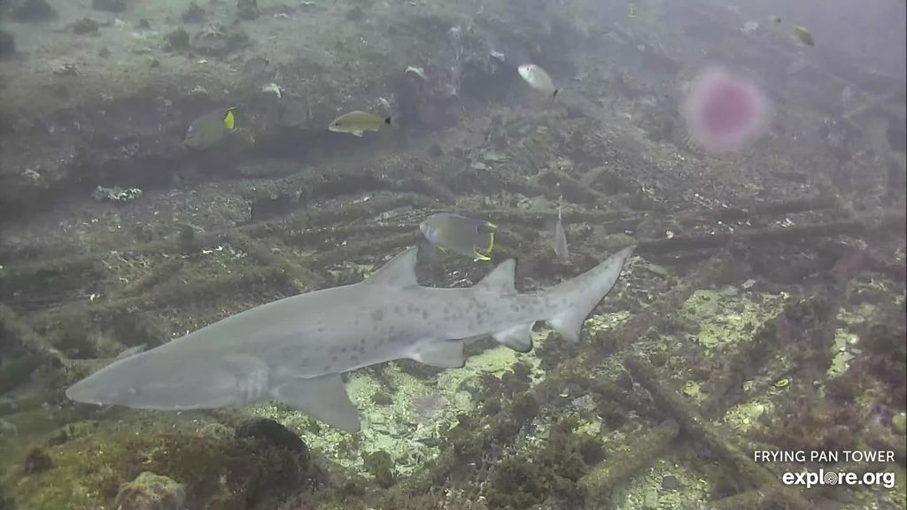 bca62b11-3538-4902-b5d0-526b7a3e3571