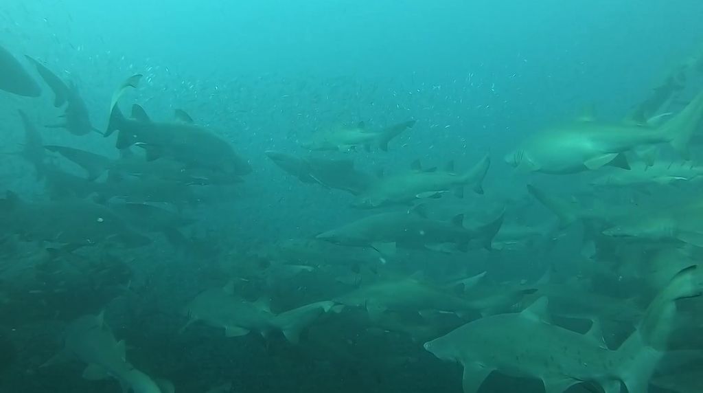 94a4ca9c-810b-4a46-be94-9d7e5e084e64