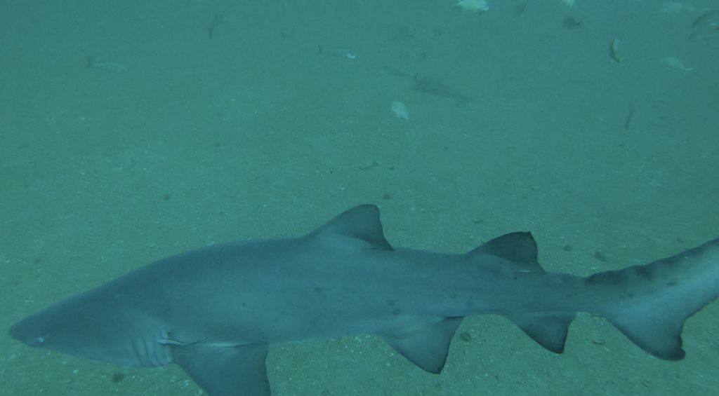 51b0944e-713d-4802-ad19-f216058ef049