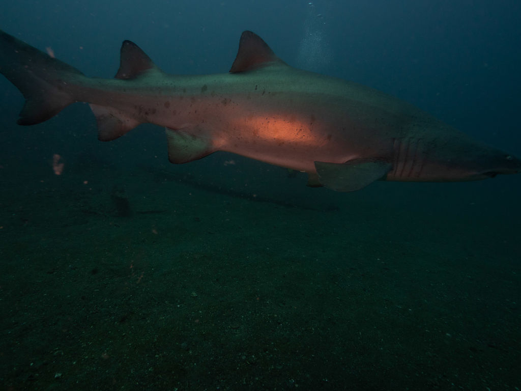 43db2b4a-63e4-4870-a7b7-d63564e5a913