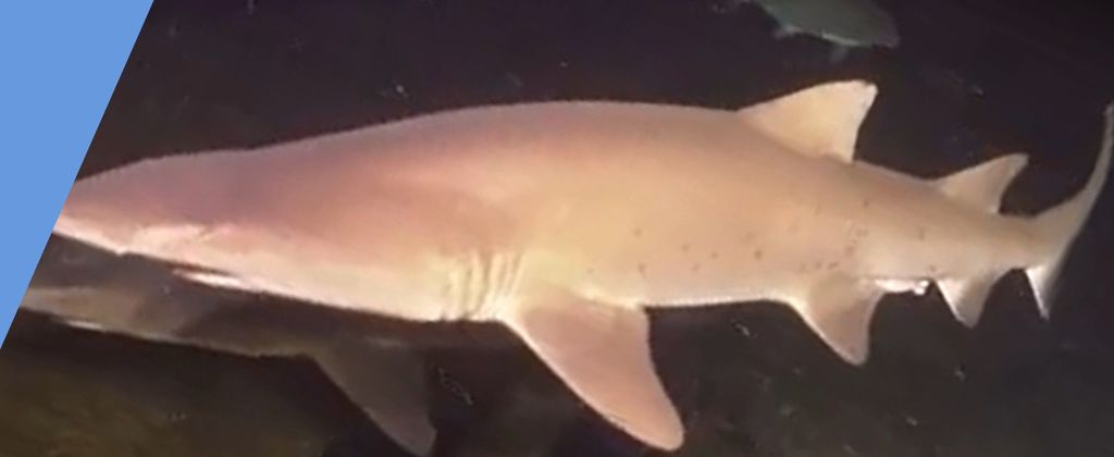 7cfe14c3-0b5b-4260-b422-b482c9fb283f