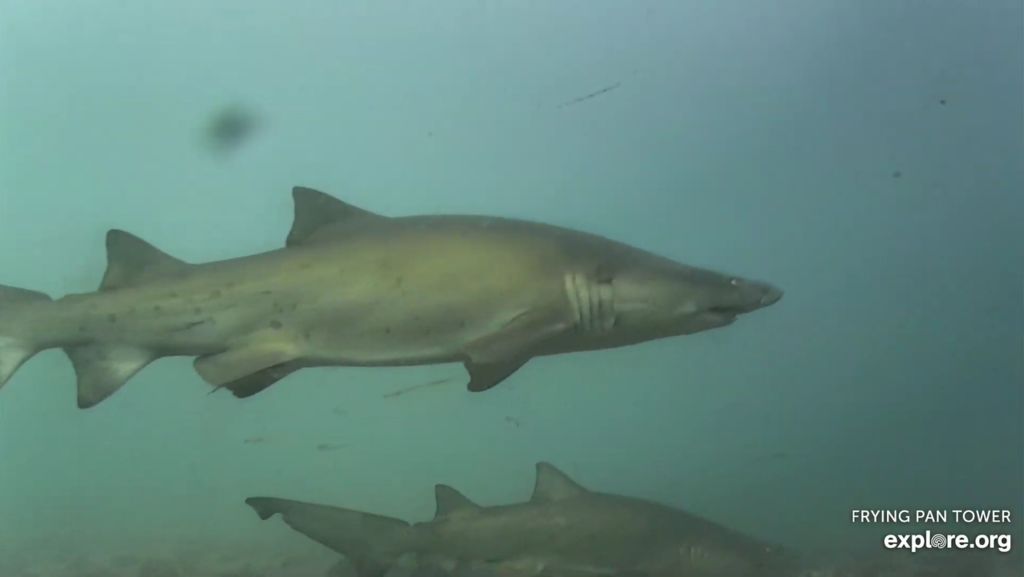 f72a0f88-c18d-4d86-a9b5-49986ac41467