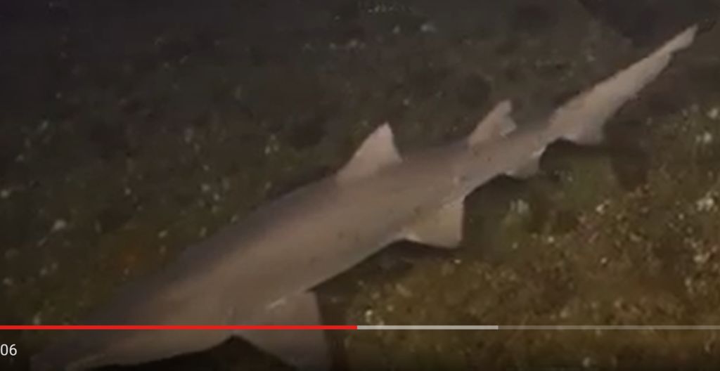 54234972-8003-47e4-a535-f48f15714ee6