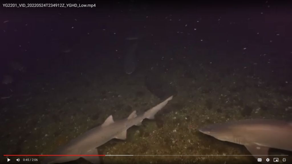 54234972-8003-47e4-a535-f48f15714ee6