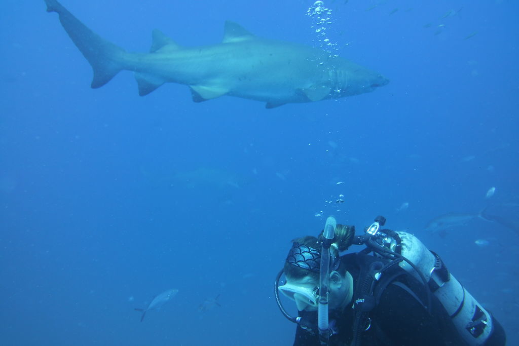 87a15e63-264f-4fed-b53c-bdbcedd6c860