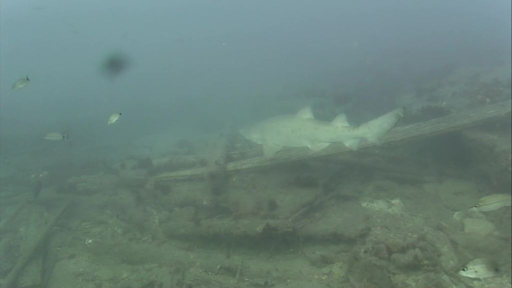 d4b48ea7-330f-4480-8a24-608880d7054a