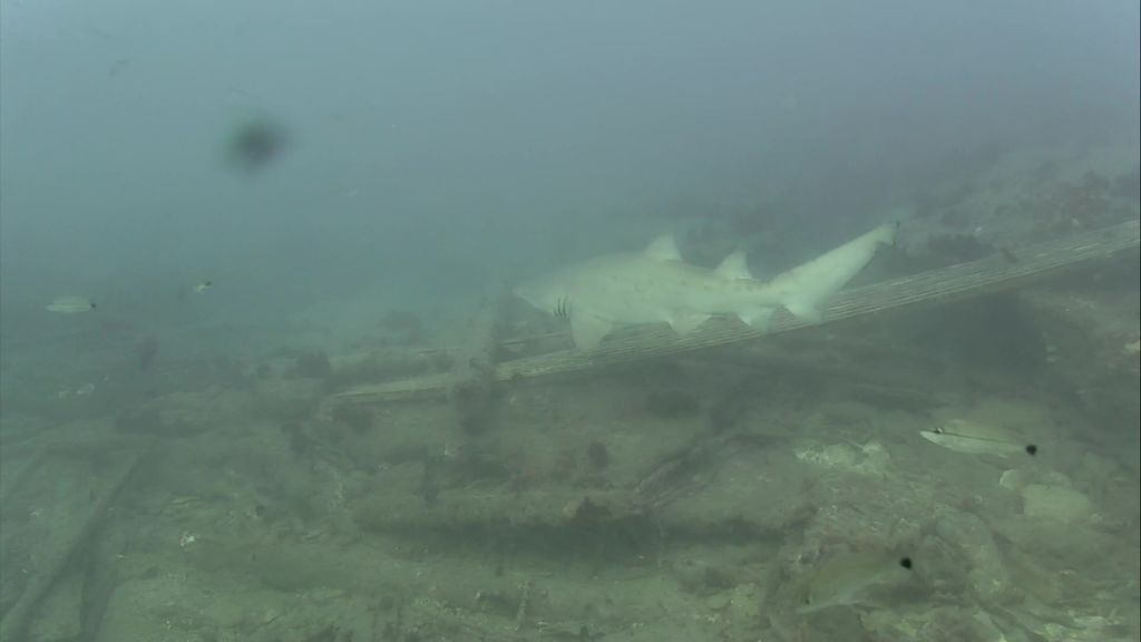 d4b48ea7-330f-4480-8a24-608880d7054a