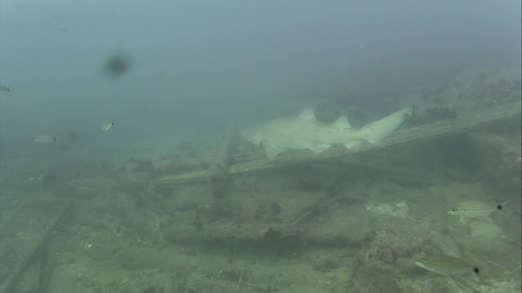 d4b48ea7-330f-4480-8a24-608880d7054a