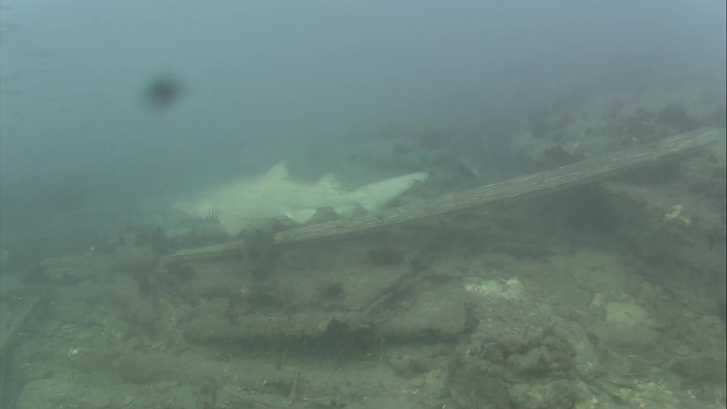 d4b48ea7-330f-4480-8a24-608880d7054a