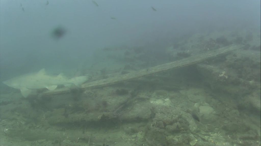 d4b48ea7-330f-4480-8a24-608880d7054a