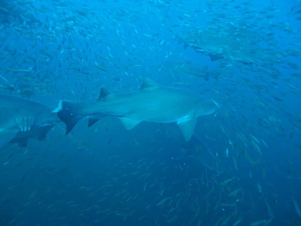 f3f24cf7-8479-4553-aadd-ad93e1de01e3