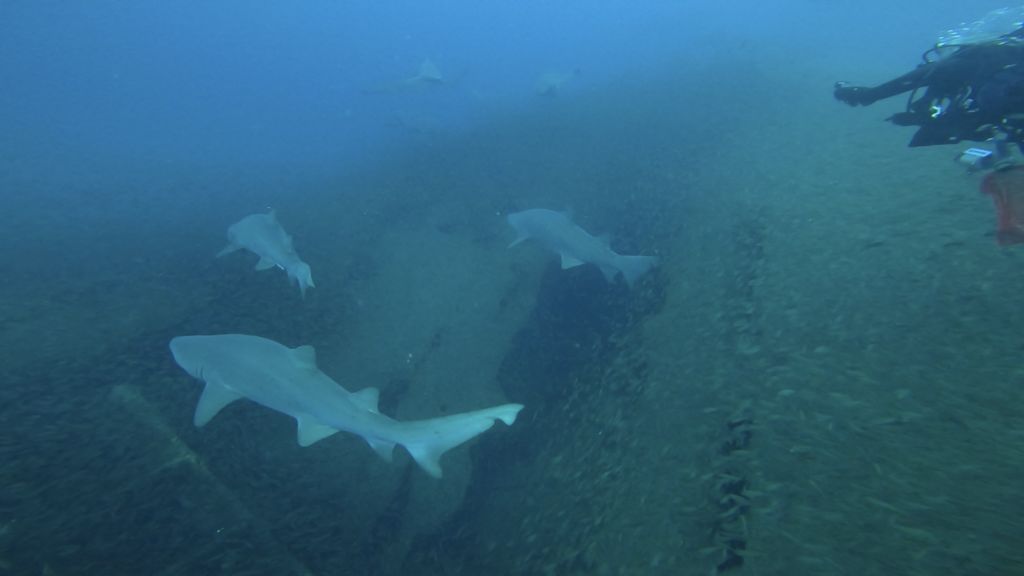 fa83ab4f-8ffb-40f0-9578-13cd9a2a1885