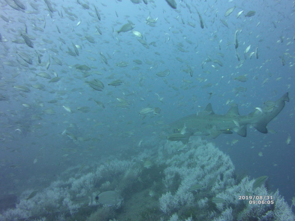 9fb990dc-5104-4167-ab99-749f8b33b3e6