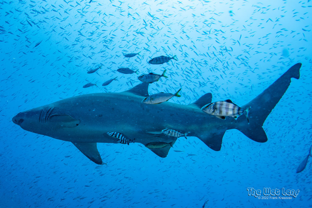 6b4a8843-7ce5-49b8-8974-11e7880e3070