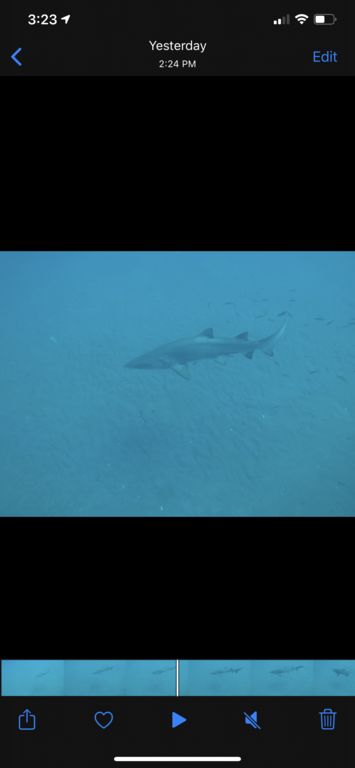 1987c362-d1f5-4c1a-b7c0-9bd8ff91316e