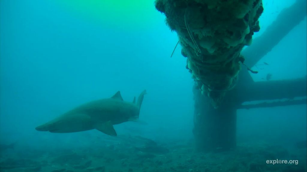 046a3244-8f23-493c-9bdb-287da901cc30